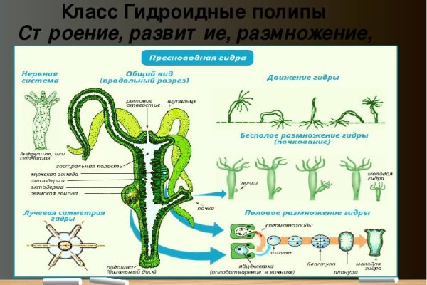 Омг ссылка тор